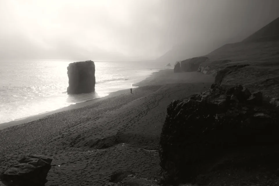 An empty shoreline under low morning light