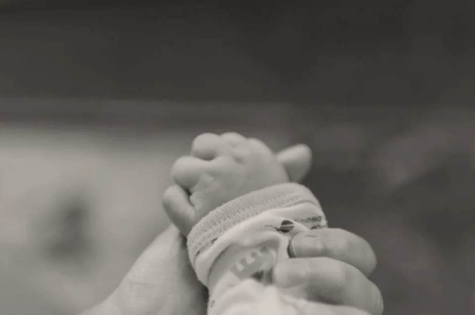 An adult hand holding a newborn's hand
